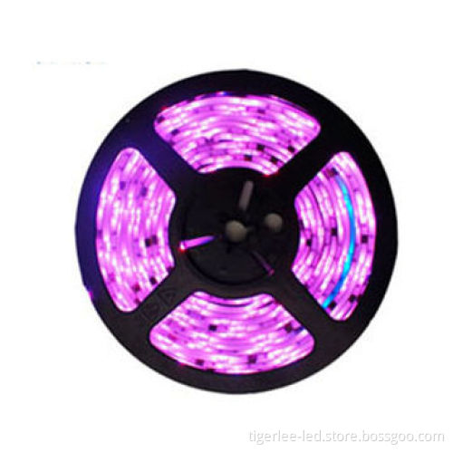CE cool white LED strip 5050 or 3528 waterproof